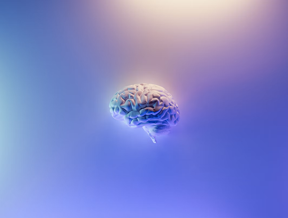 Image of a human brain against a purple background.