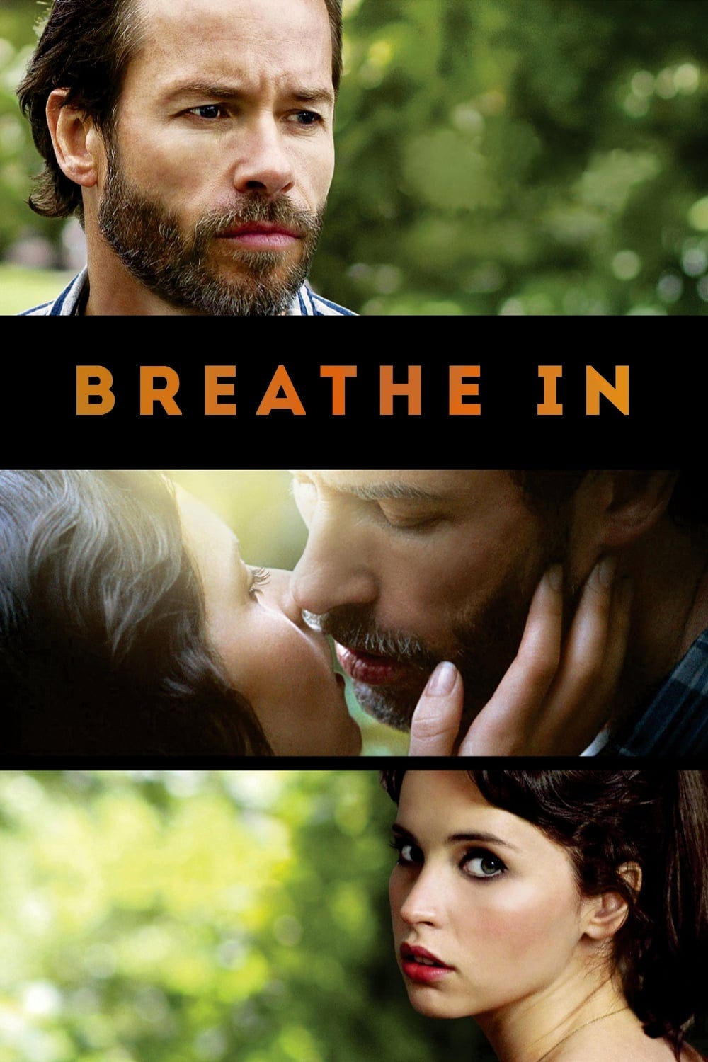 Breathe In (2013) | Poster