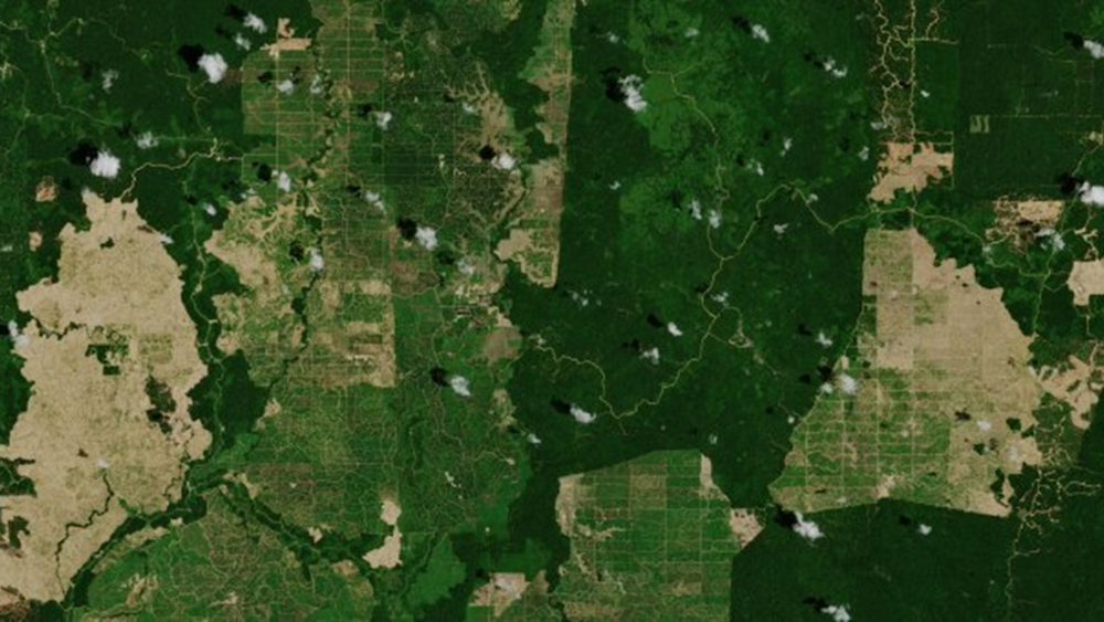 Satellite image of fields — Image Credit: European Space Agency, 2019