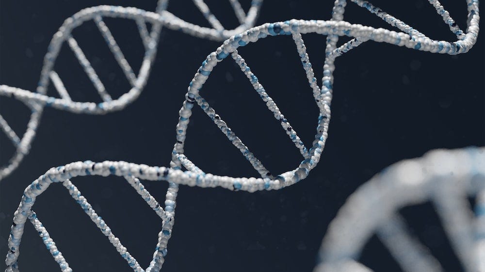Picture of DNA strand