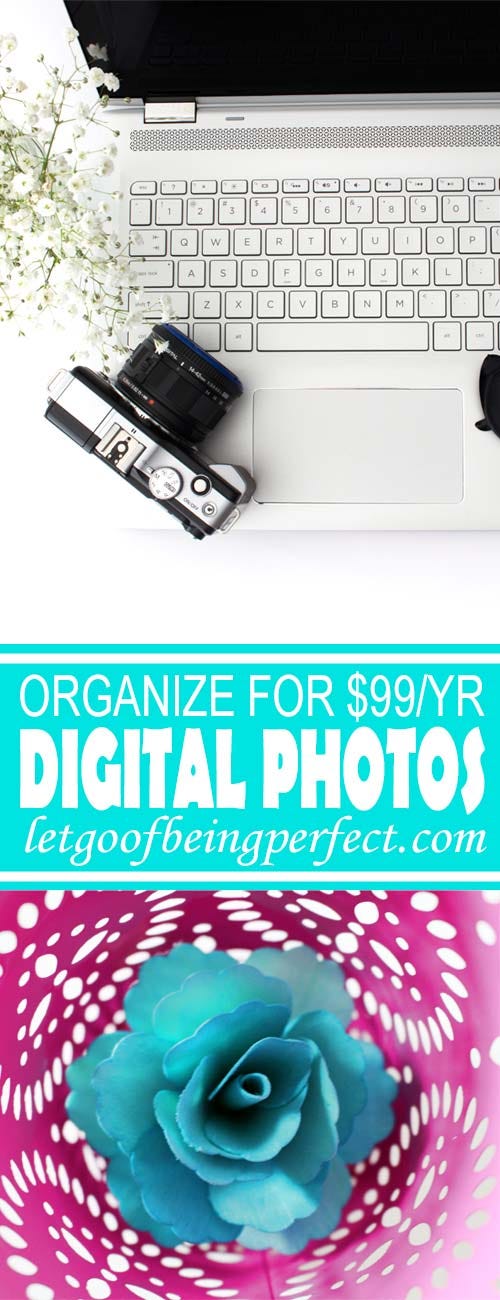 Rename, organize, and back up your digital photos for only $99 per year. Those digital photographs are priceless, don't lose them!