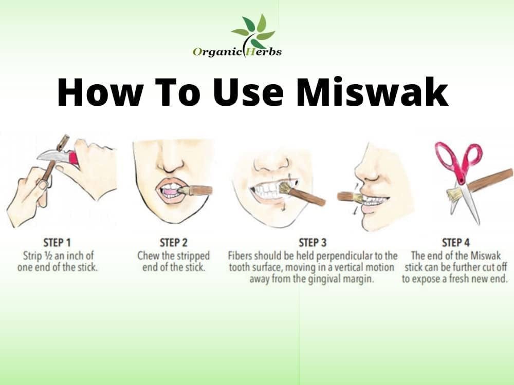 Application of Miswak- Mohamad Alaskari