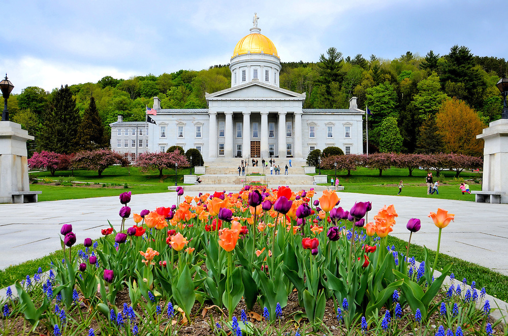 view of Vermont State House Building in Montpelier