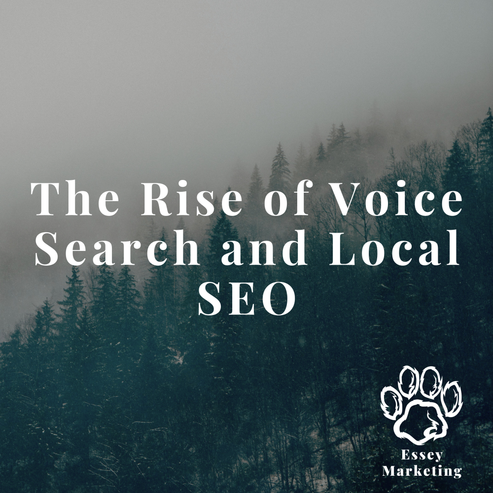 The Rise of Voice Search and Local SEO by Chris Essey | Essey Marketing