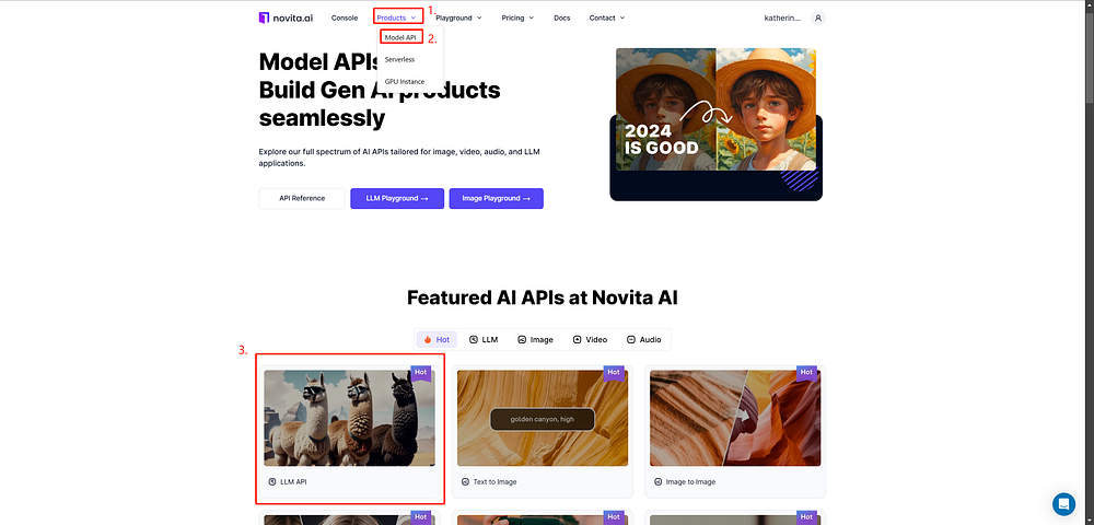 Novita AI homepage featuring Model API and LLM Playground.