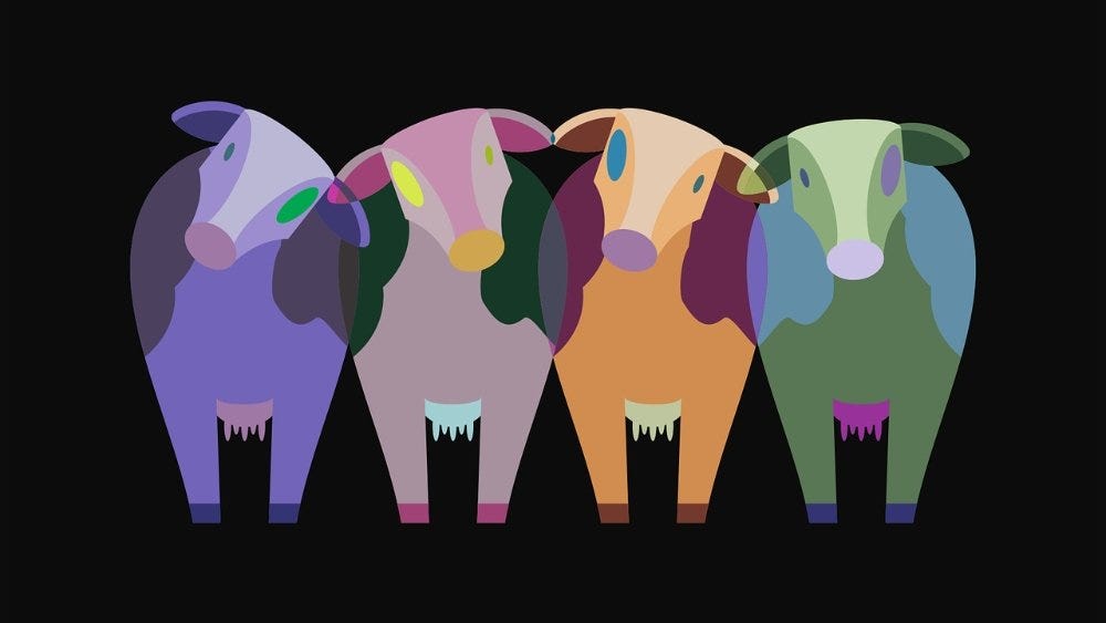 Colourful cows image in original colour combinations