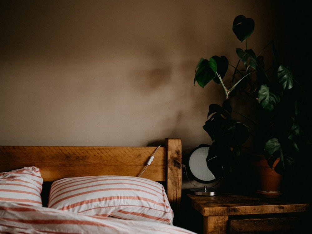 Cropped image of pillows on bed with nightstand and plant, soft light coming through window