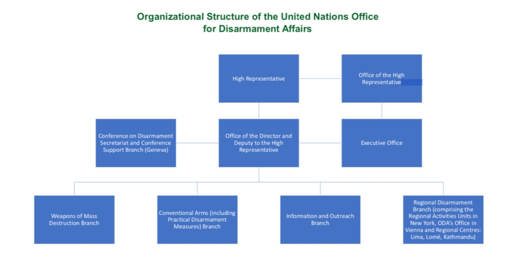 Organizational chart of the UN Office for Disarmament Affairs