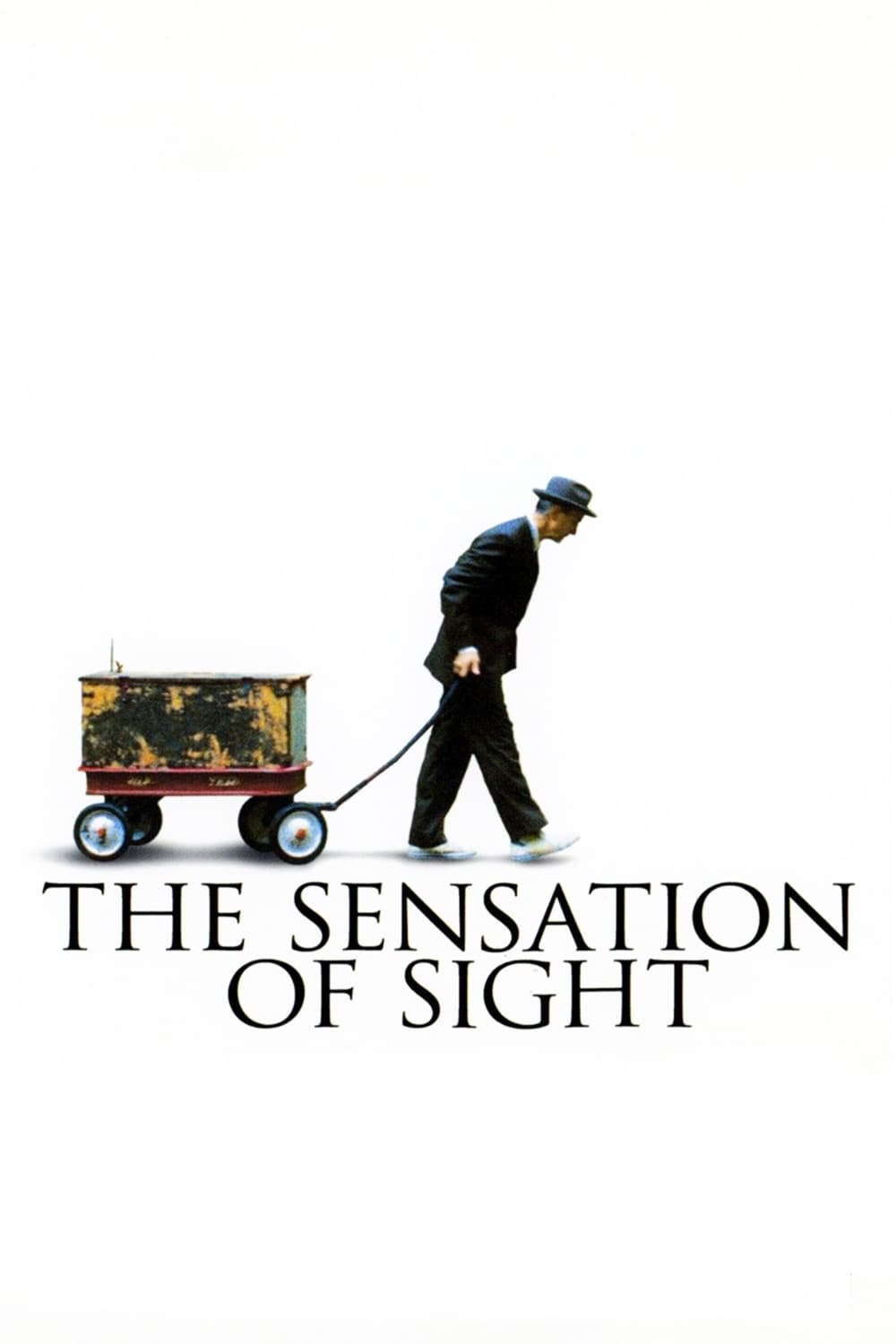 The Sensation of Sight (2006) | Poster