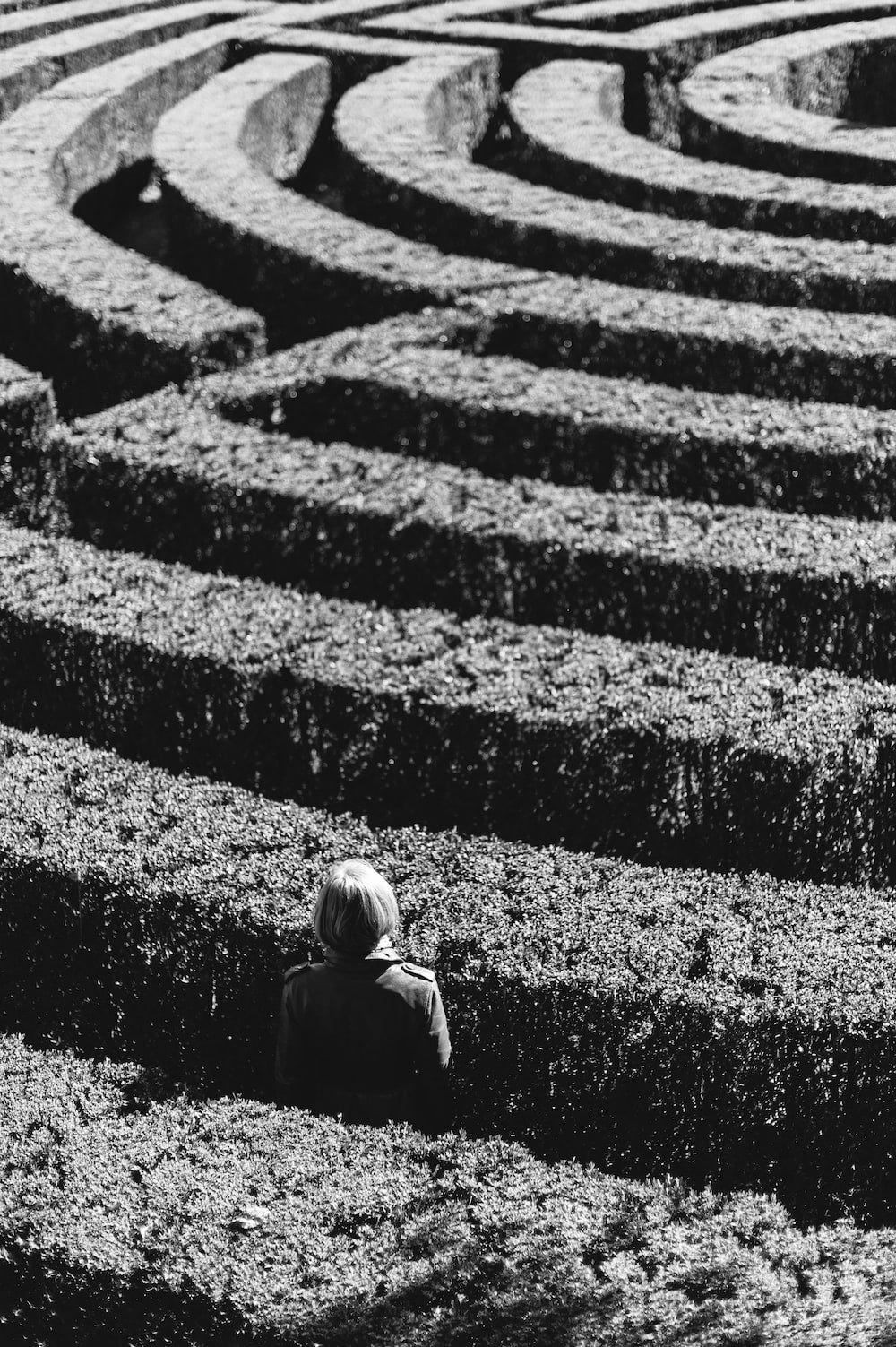 A person is standing, back turned to the picture taker, standing in a row of hedges for a chest-level (for adult) hedge maze. The image is black and white.