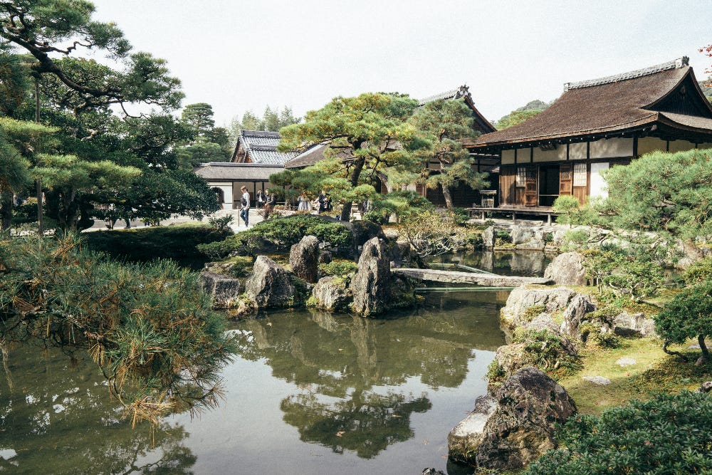 Do not over-water the pines in Zen Garden