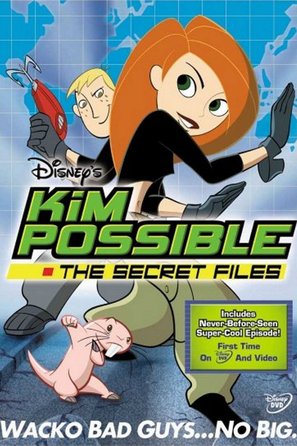 Kim Possible: The Secret Files (2003) | Poster