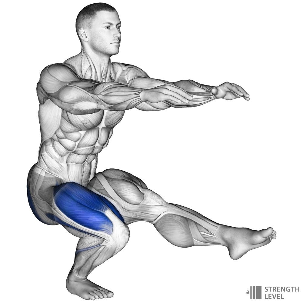 Advanced calisthenics moves: pistol squats