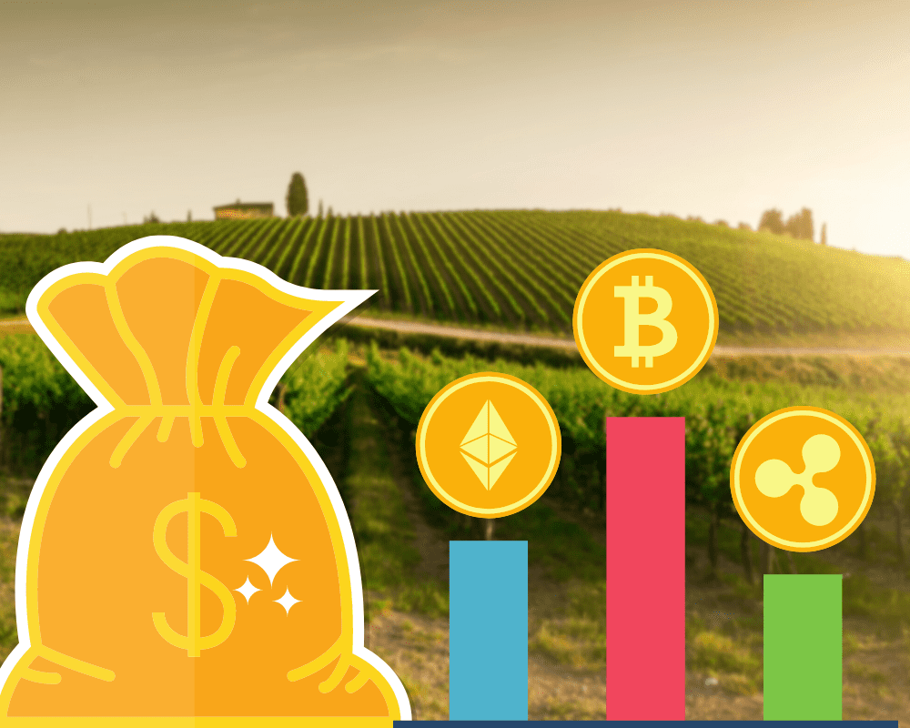 Ethereum, Binance Smart Chain, Polygon Leading a Resurgence in Yield Farming