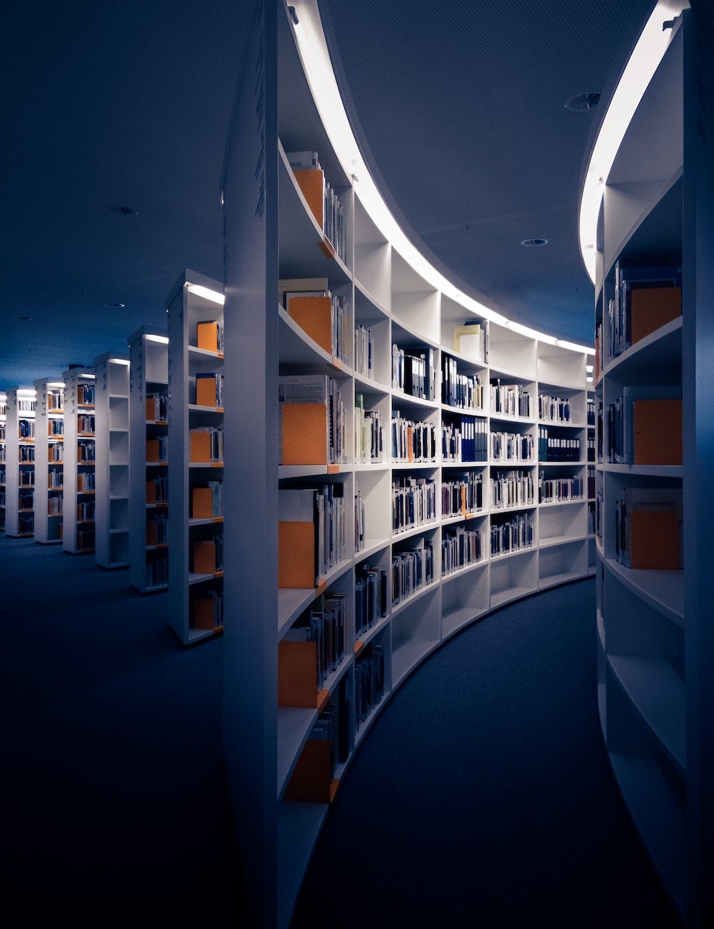 Foto de várias estantes de livros, na cor branca.