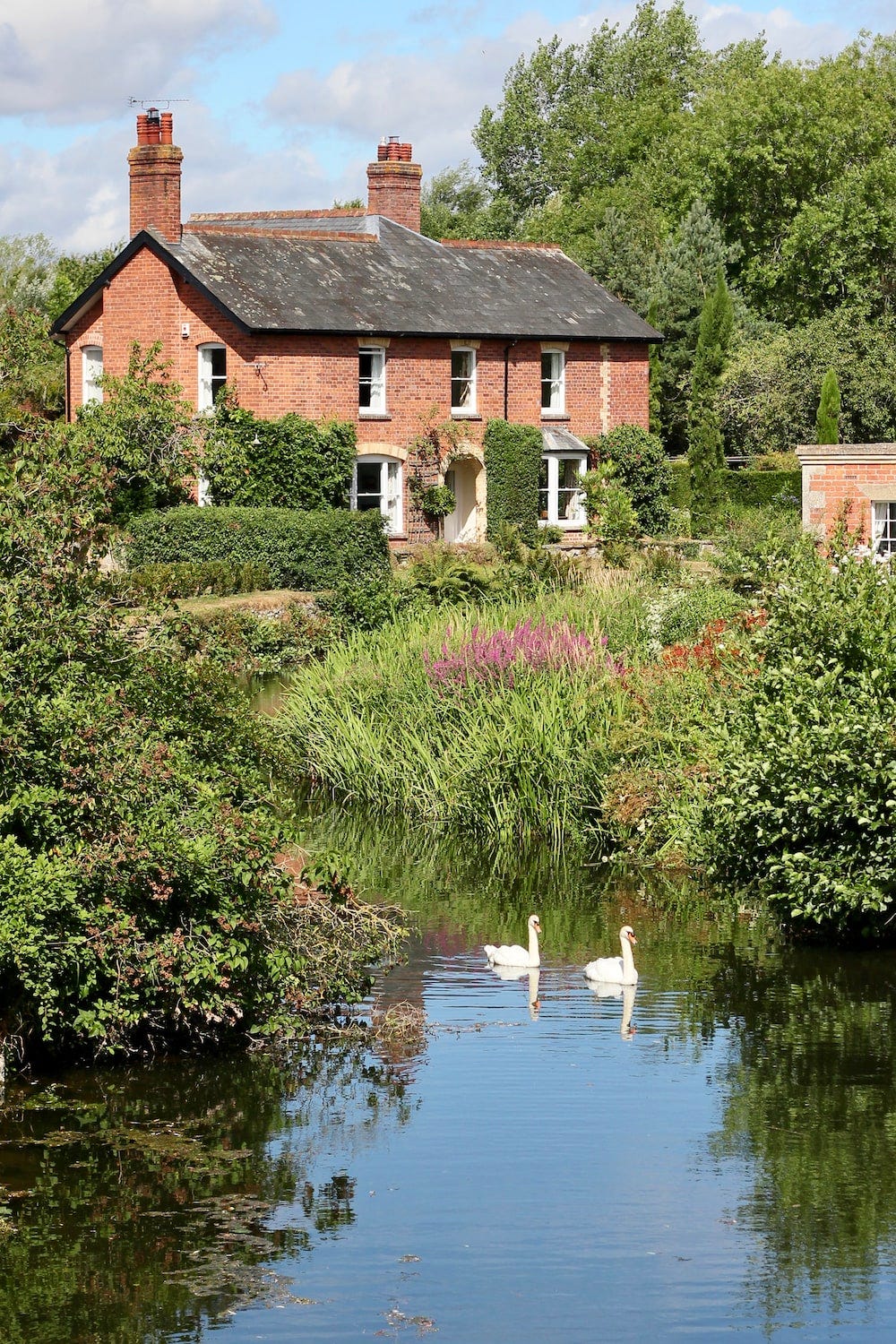 cottage surrounded by greenery and a pond with two swans swimming in it