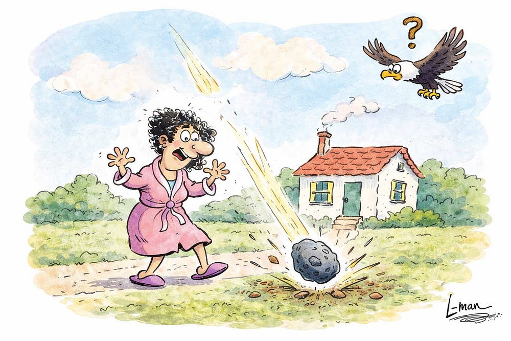 Ann Hodges: struck by a meteorite