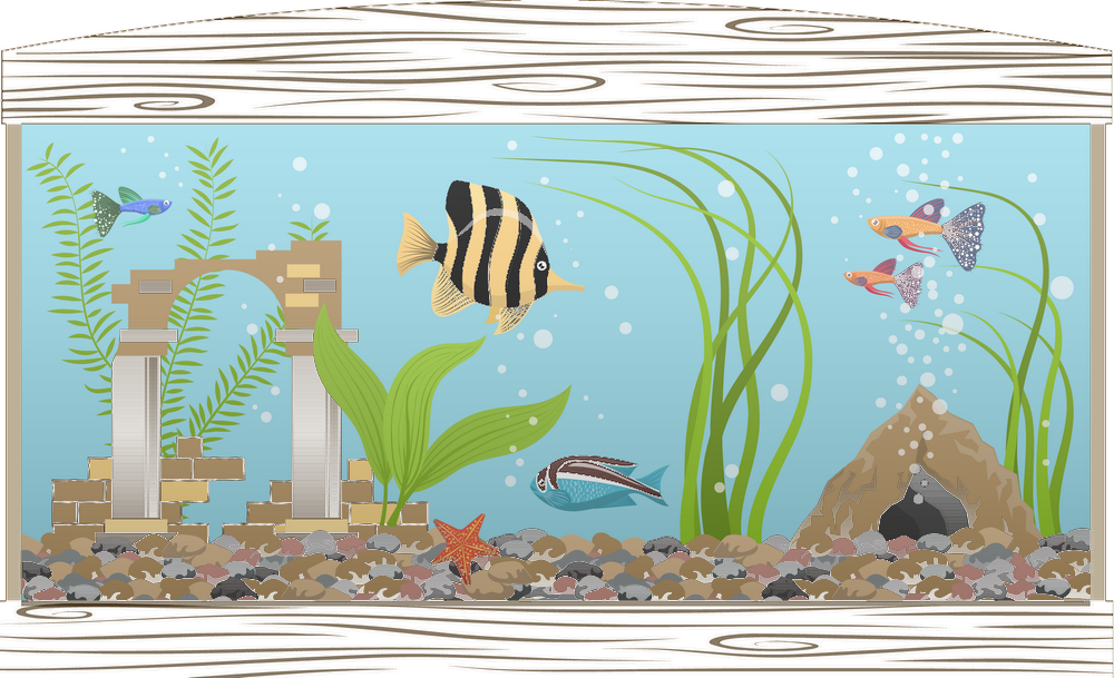 Aquarium tanks image