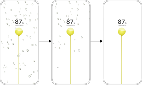 Focus biofeedback training, learning to reduce distractions. 