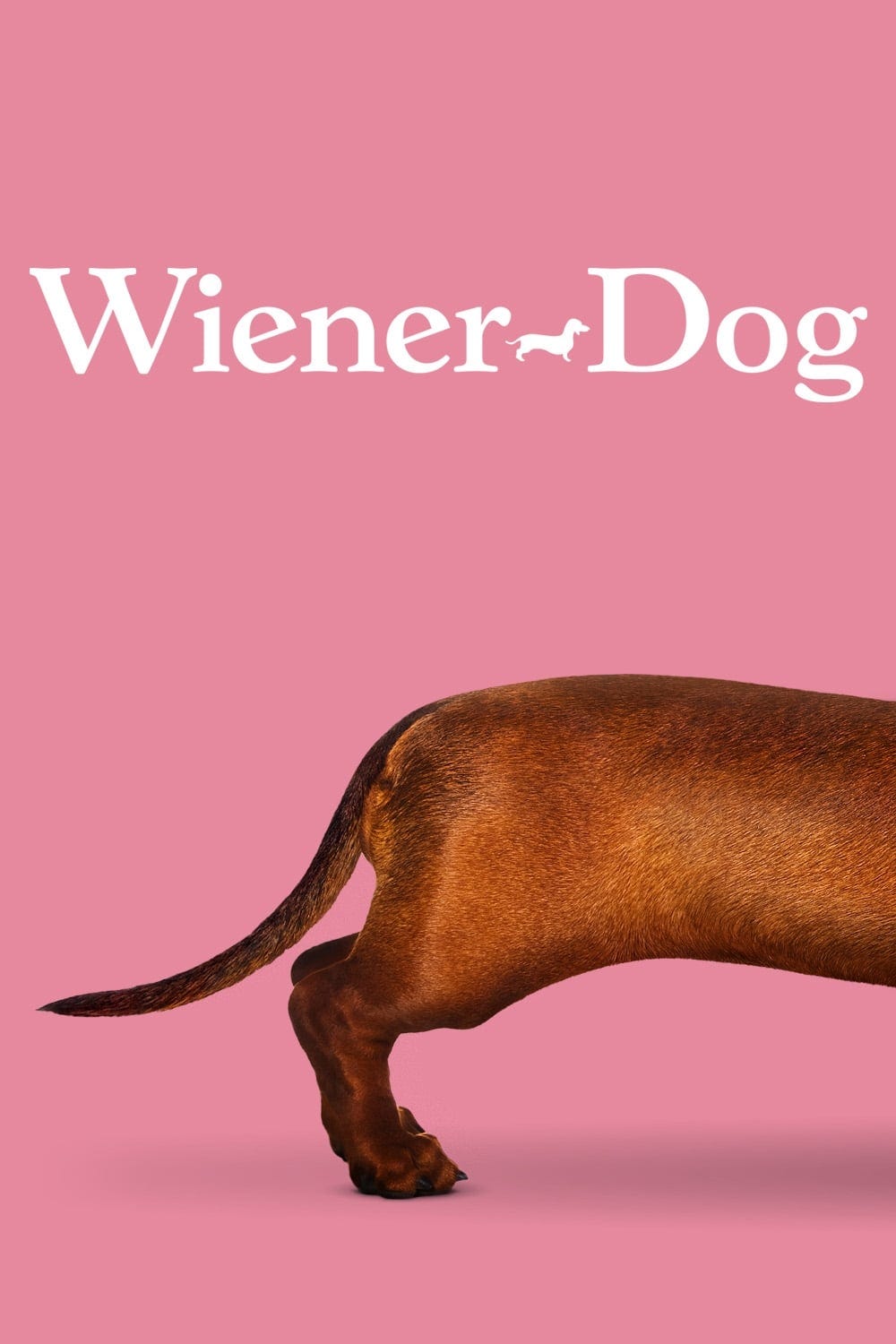 Wiener-Dog (2016) | Poster