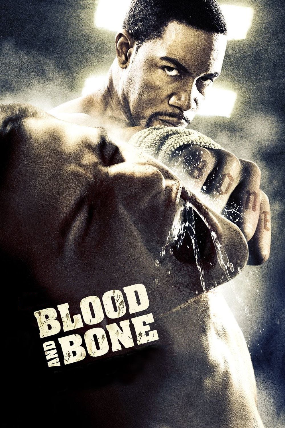 Blood and Bone (2009) | Poster