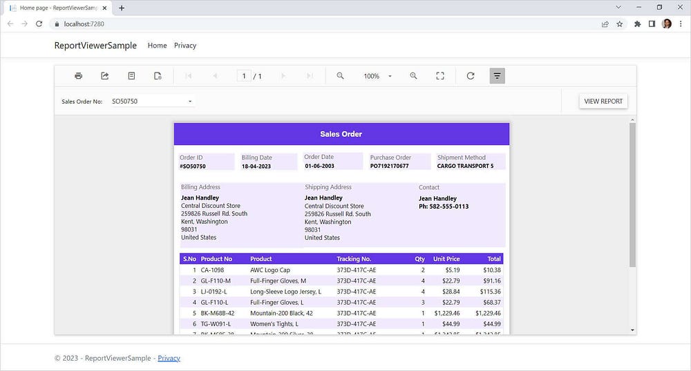 The ASP.NET Core Report Viewer in a .NET 6 app