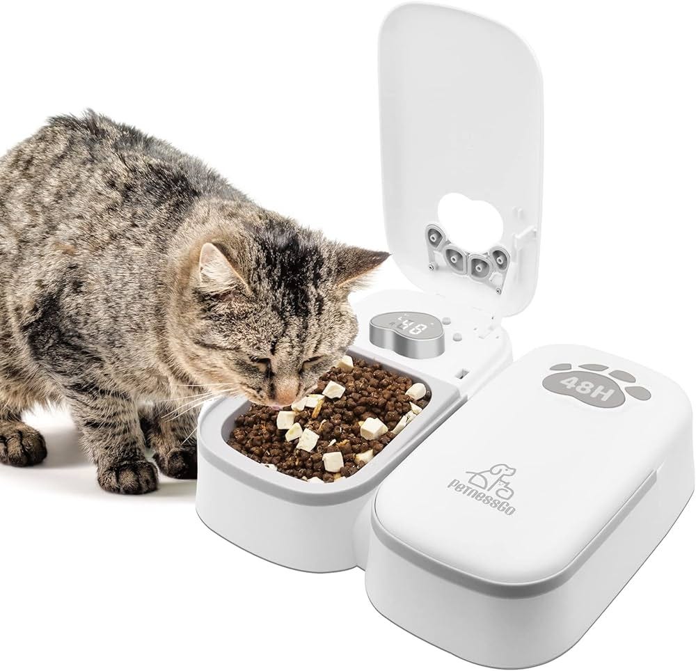 Best Automatic Cat Feeder Wet Food Dispensers