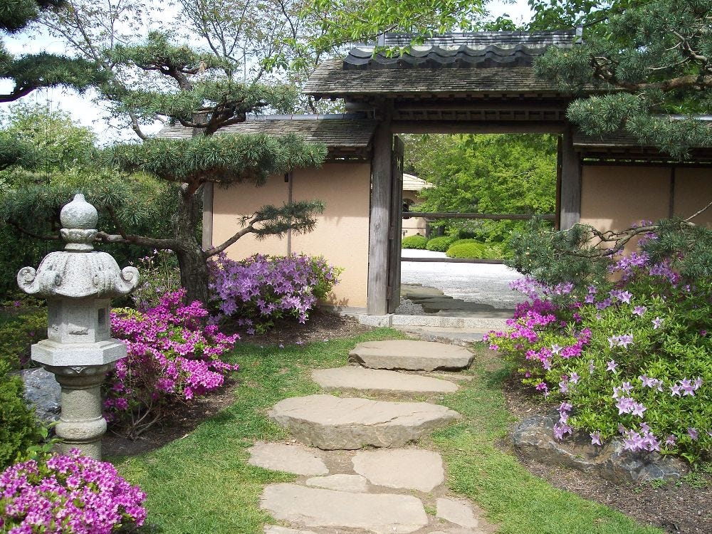 Japanese Zen gardens Plants