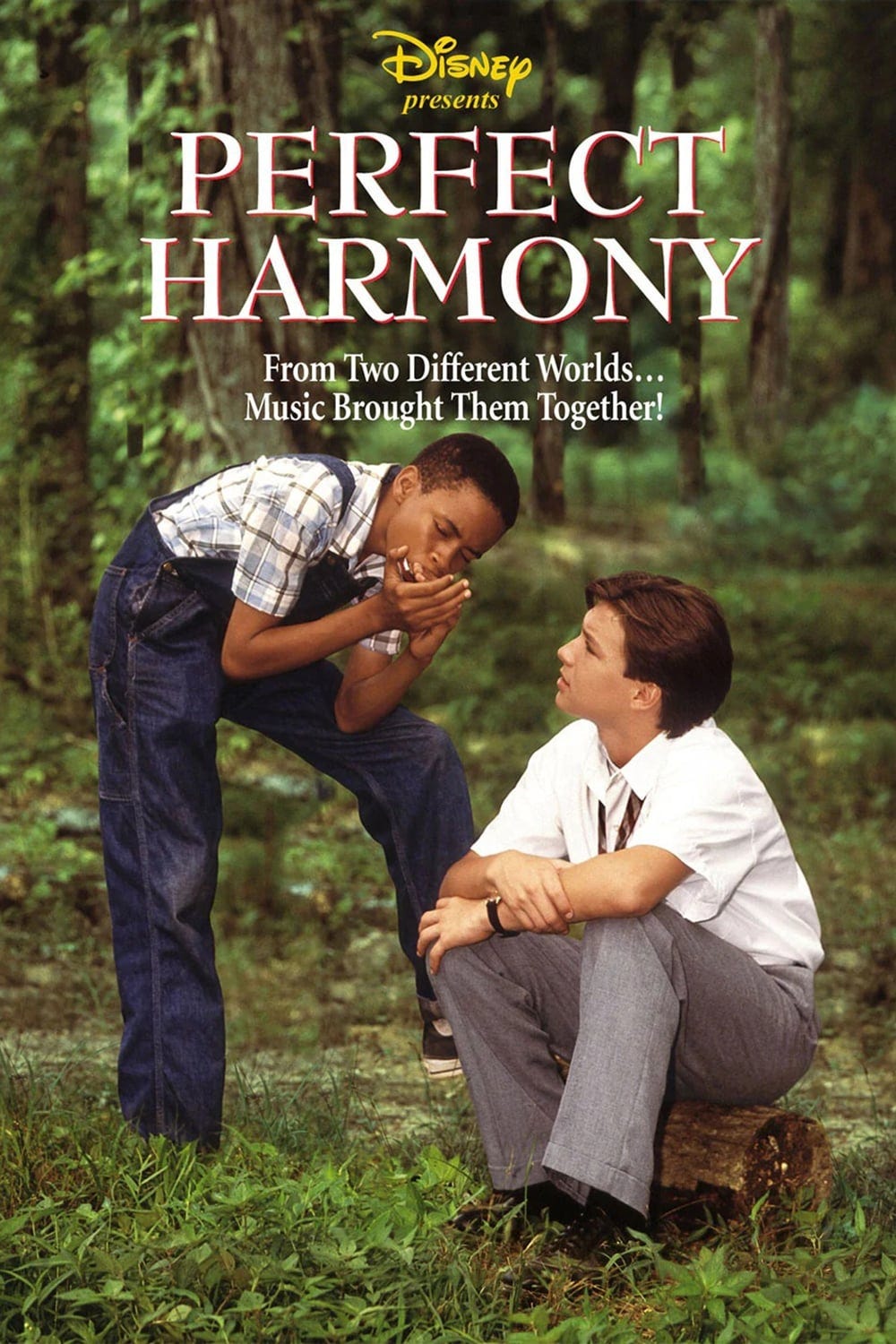 Perfect Harmony (1991) | Poster