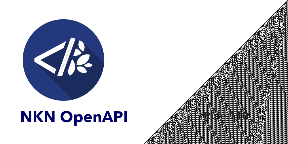 Rule110 NKN OpenAPI