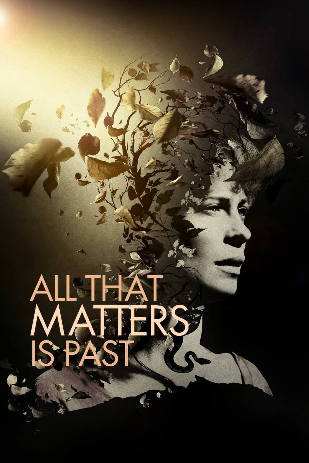 All That Matters Is Past (2012) | Poster