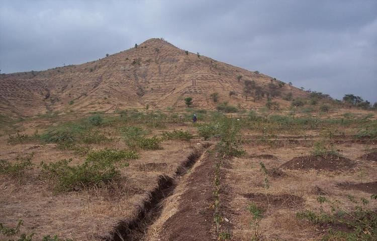 Photo credit: India’s Ministry of Environment, Forest and Climate Change