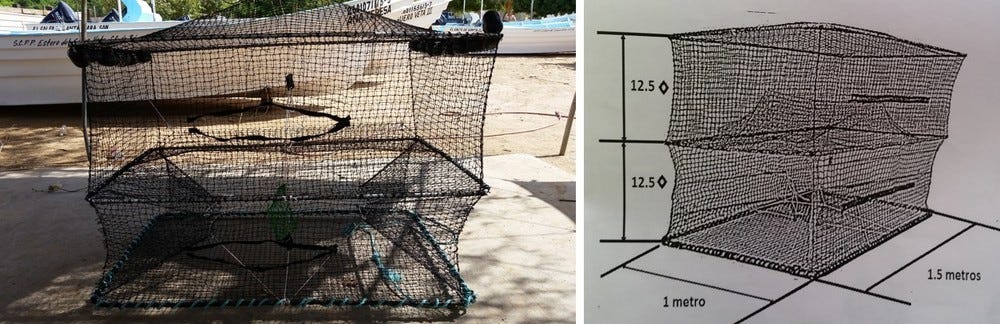 Prototype of collapsible fish trap designed by Antonio García Orozco. Photo credit: Josué Montañez
