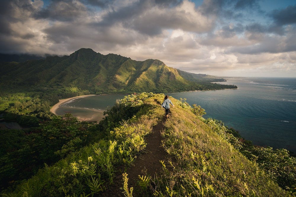 A person running on a hilly landscape trail close to the ocean