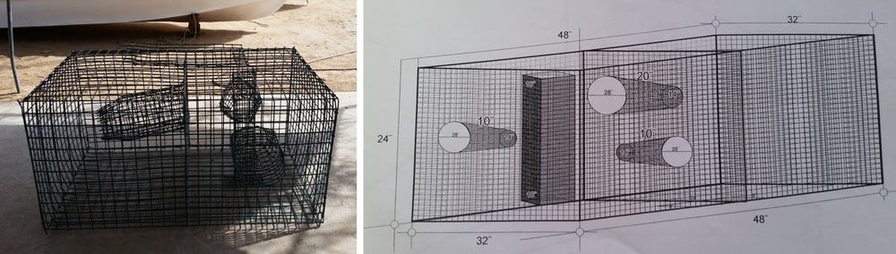 Prototype of fish trap designed by Antonio García Orozco. Photo credit: Josué Montañez