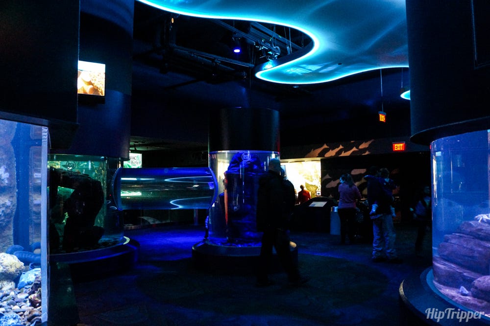 Inside the Ripley's Aquarium of Canada