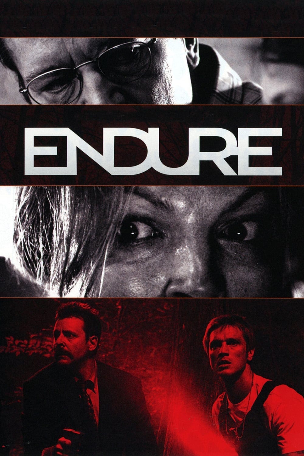 Endure (2010) | Poster