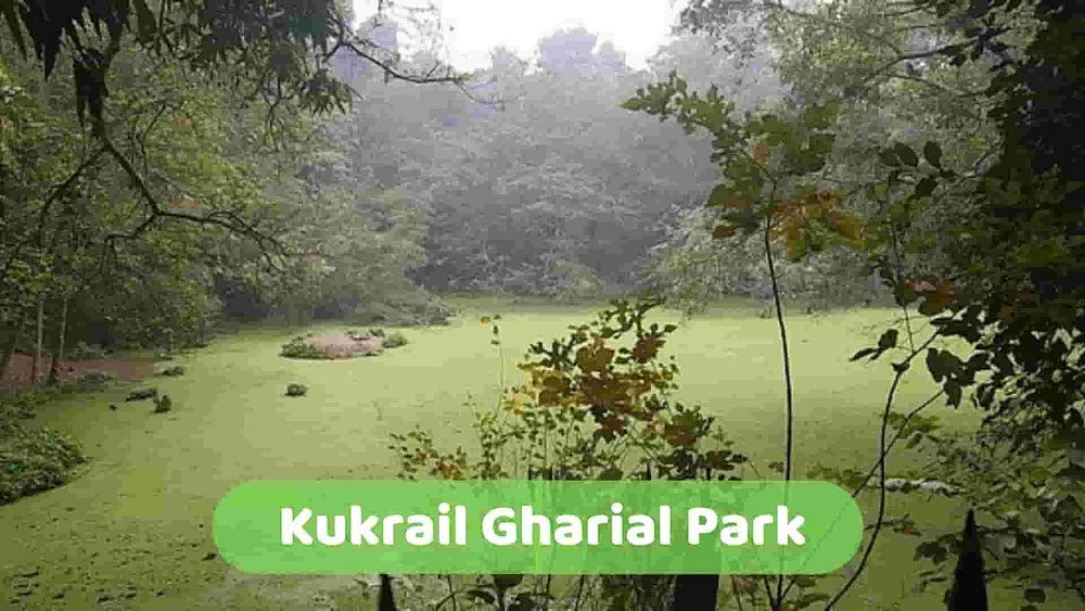Kukrail Gharial Park