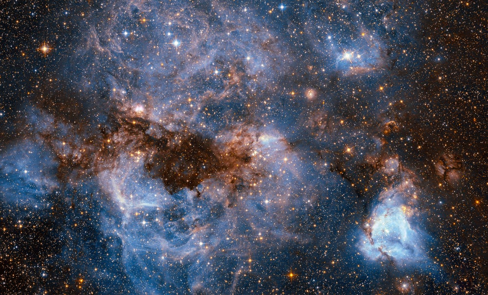 The Neurobiology of the Collapse: Why the Stars “Leaned In”