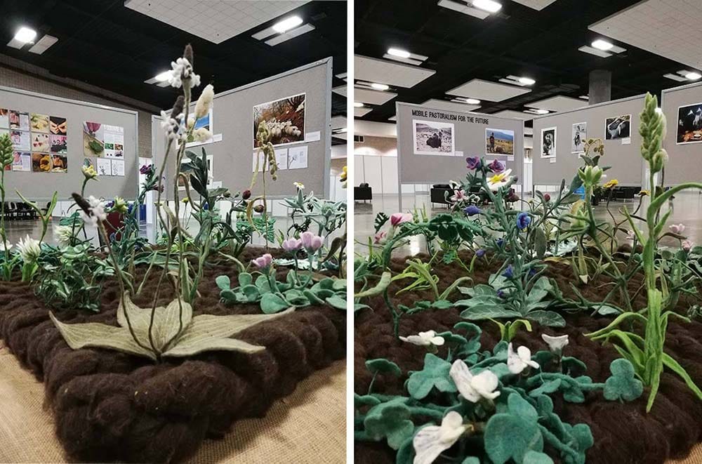 One Square Meter launched in 2016 at the 6th World Conservation Congress in Hawai’i.