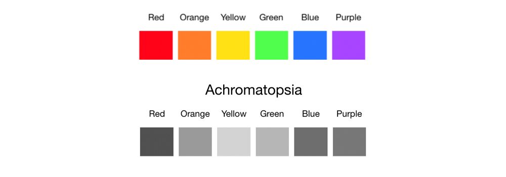 Blue-yellow color blindness is simulated on the colors red, orange, yellow, green, blue, and purple. All colors look like different hues of grey.