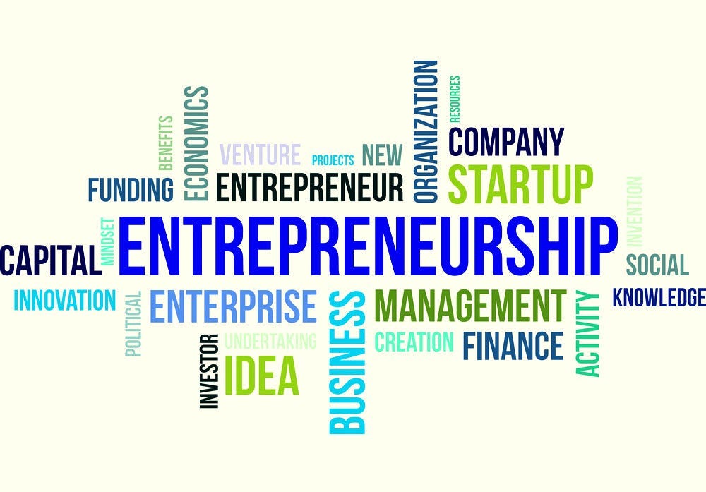 There are 4 common types of entrepreneurship