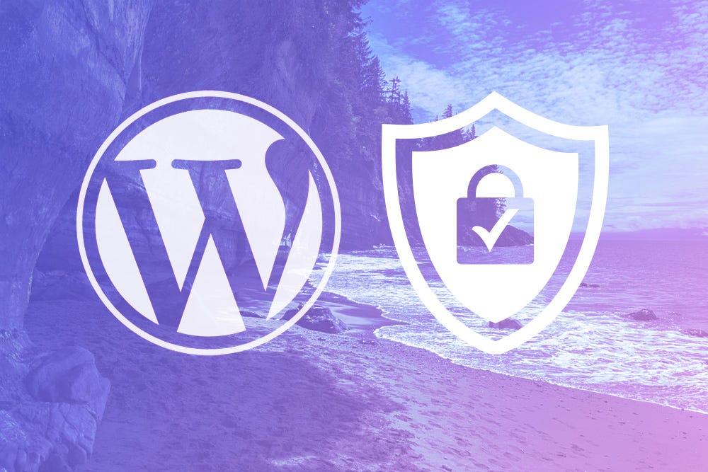 Website Performance and Security