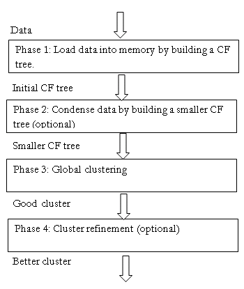 BIRCH Data Flow