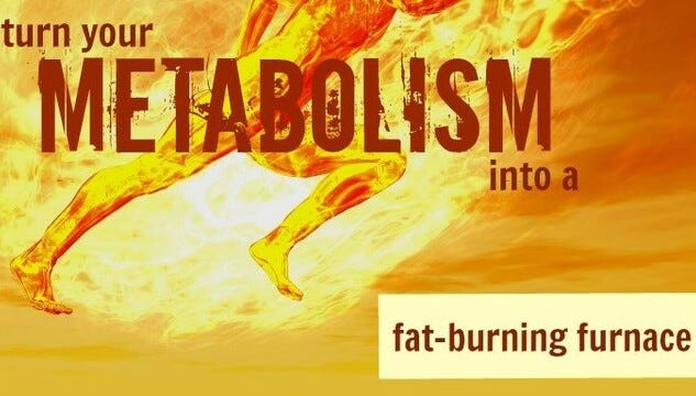 turn on your metabolism