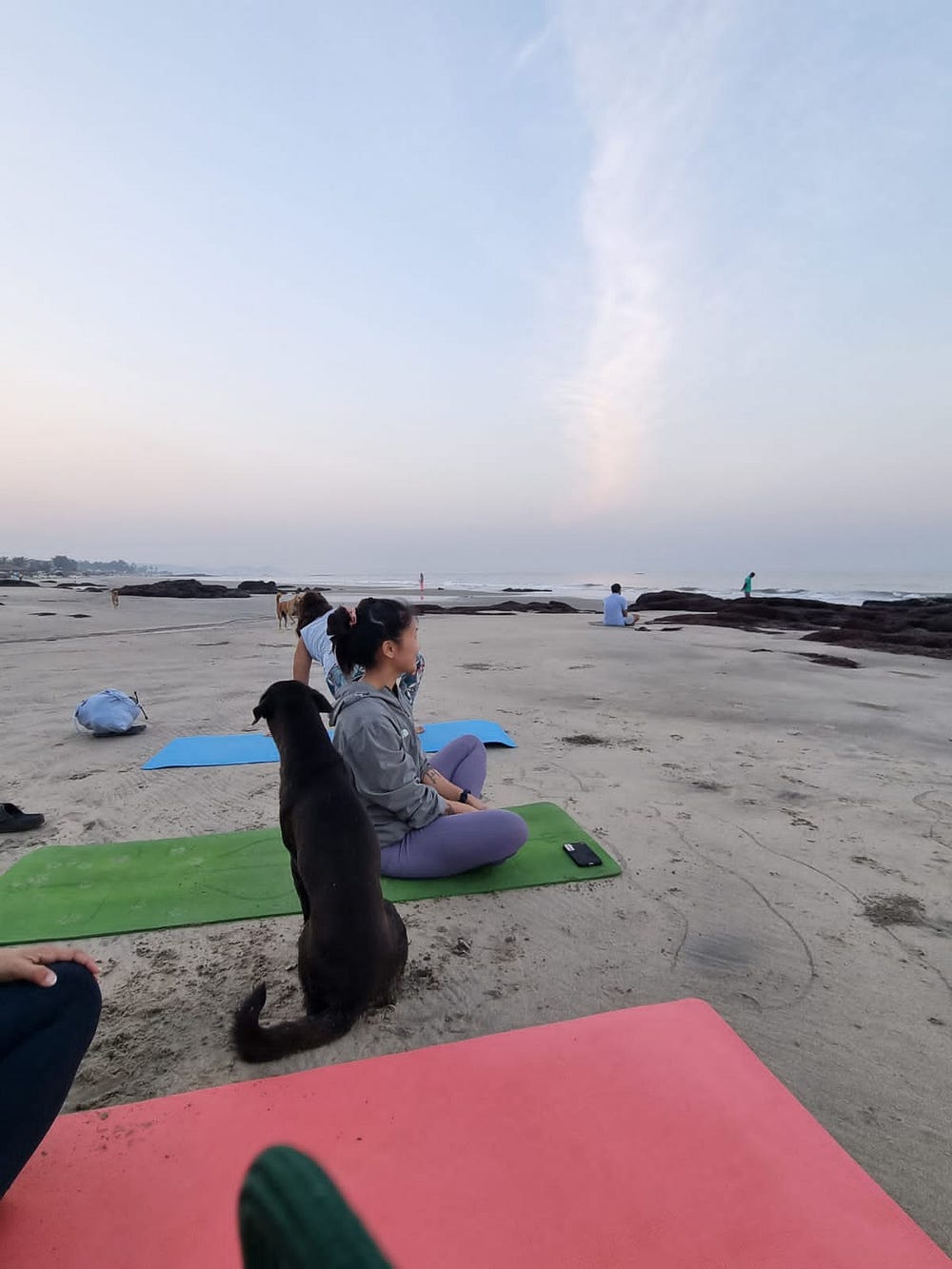 Best Yoga Teacher Course in Goa