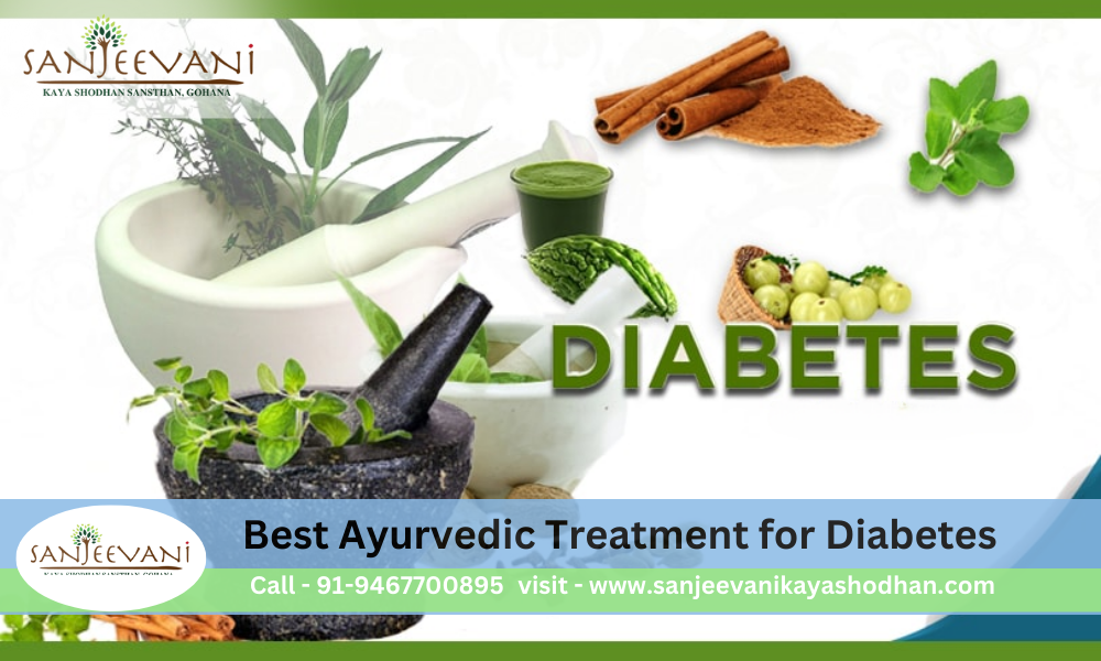 Diabetes Treatment in Ayurveda