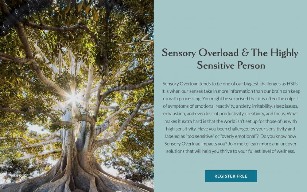 Sensory Overload free webinar