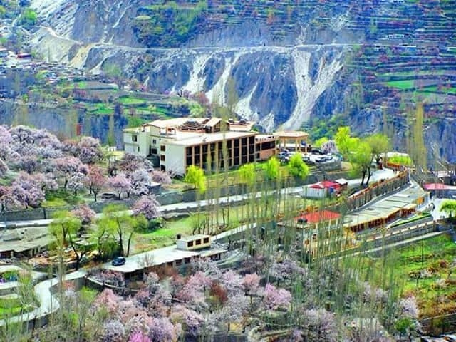 http://www.hunzaadventuretours.com.pk/hunza_appricot_cherry_blossom_tours.html