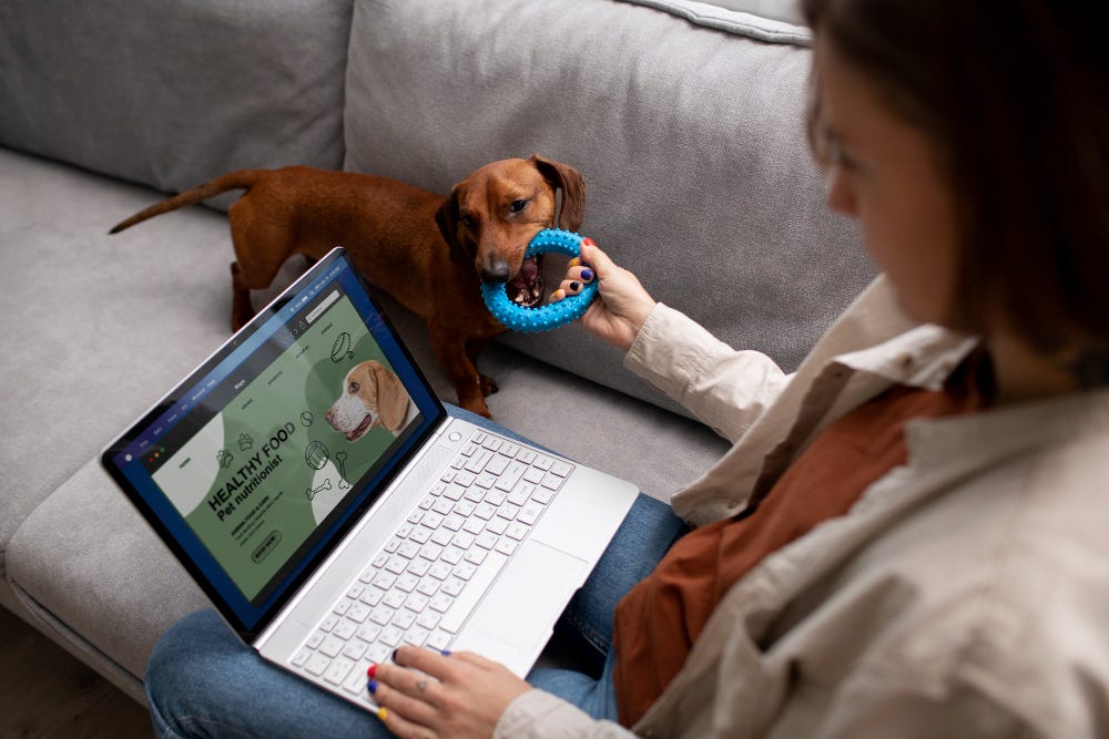 veterinary medicine online